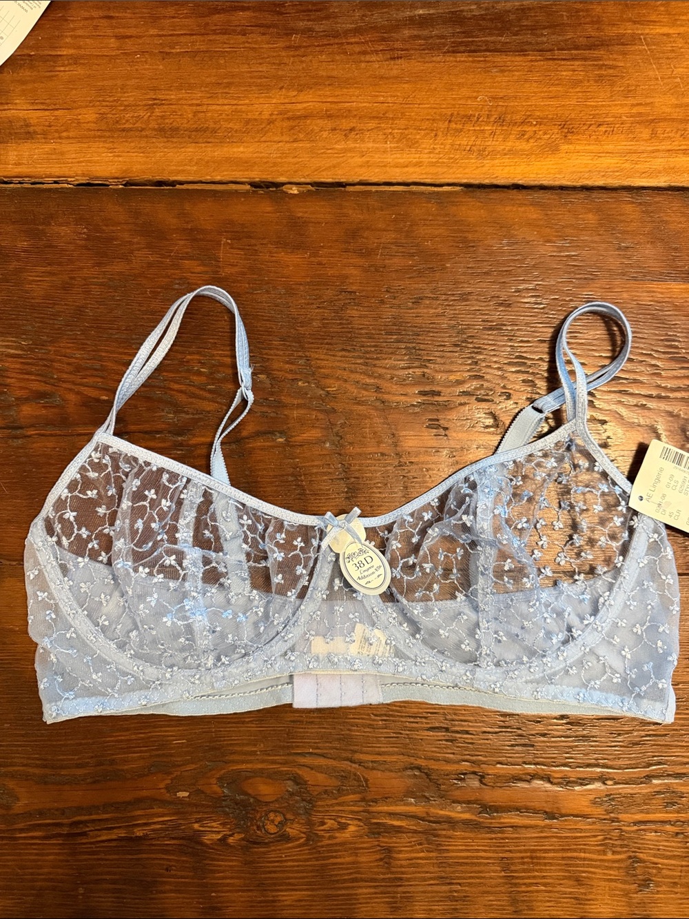 Sheer Embroidered Lace Underwire Bra in Light Blue